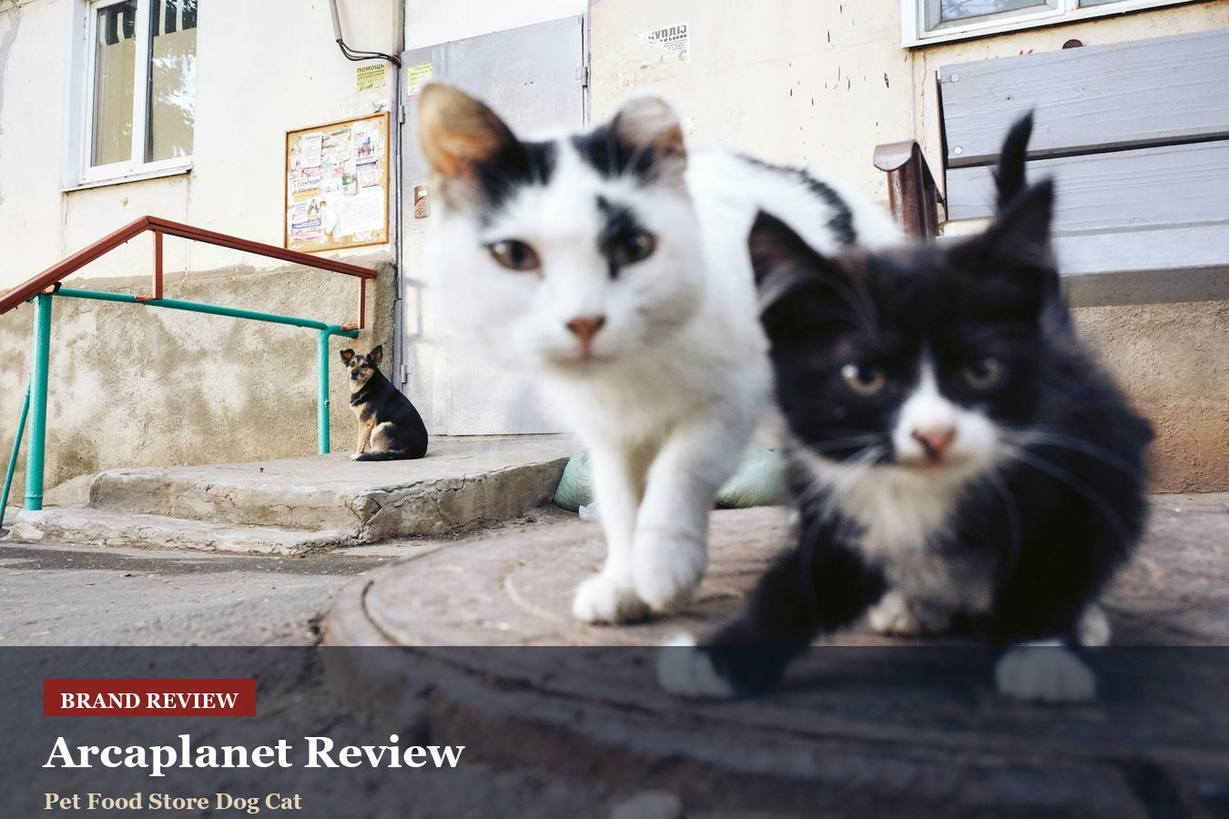 Arcaplanet Review: Pet Food, Accessories And Repeat Orders