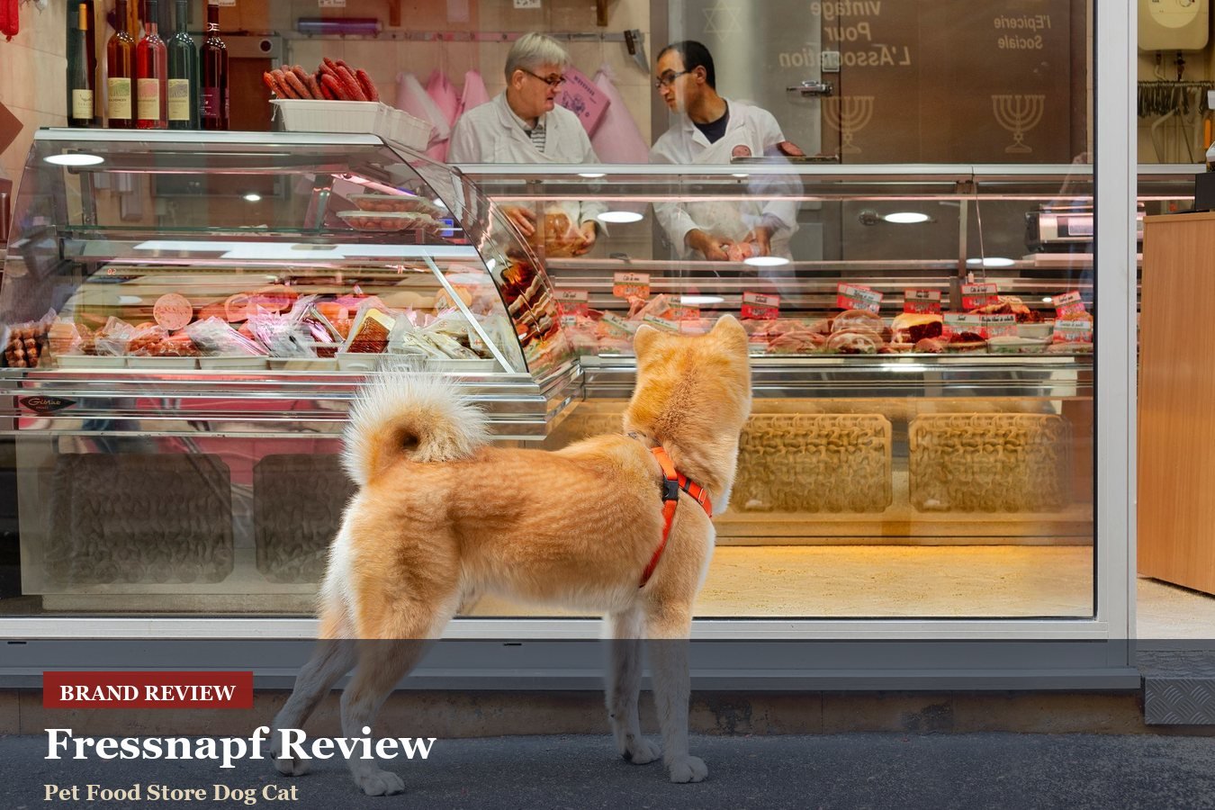 Fressnapf Review: Pet Food, Accessories And Subscription Planning