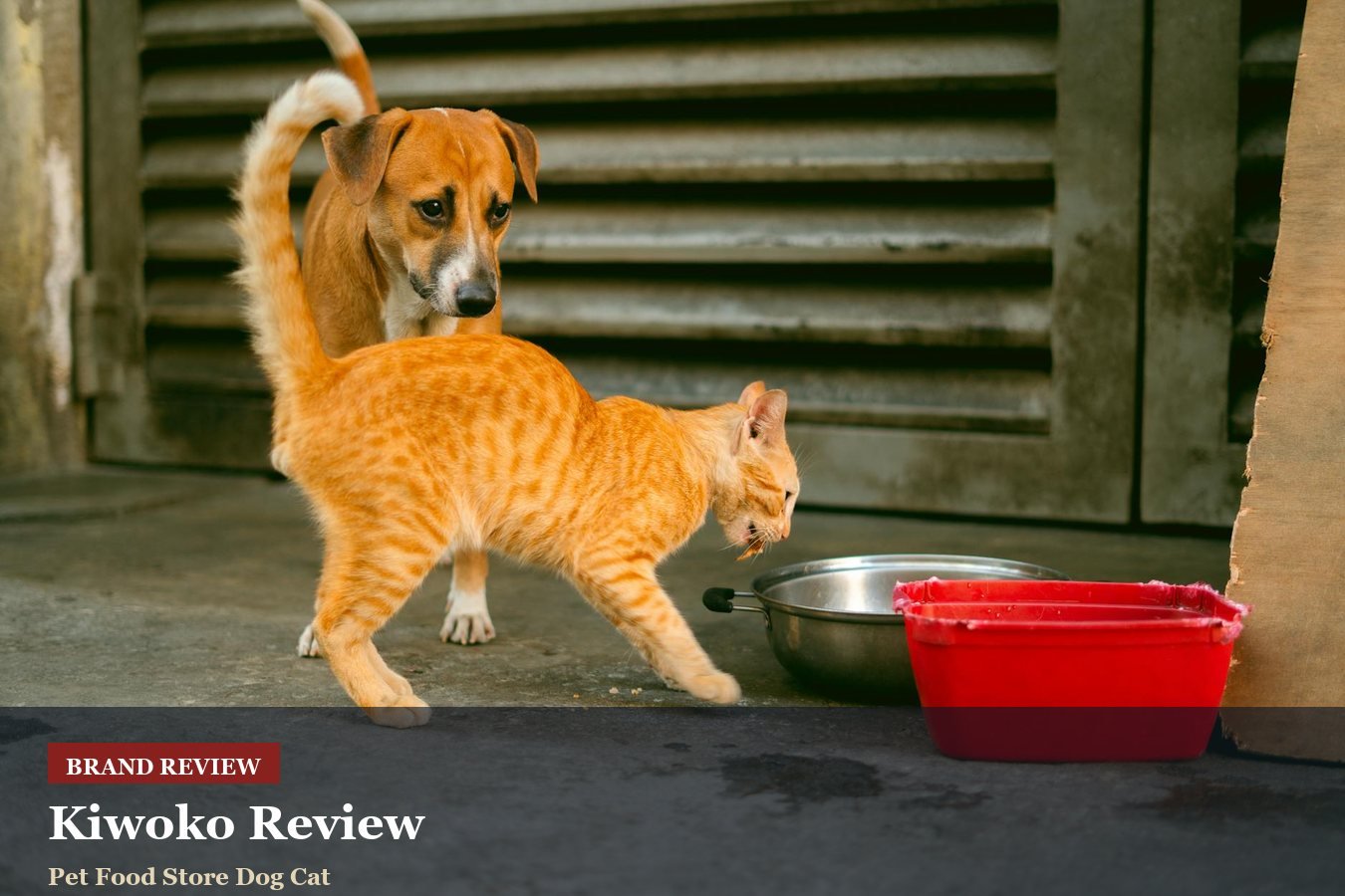 Kiwoko Review: Pet Supplies, Subscriptions And Delivery Planning