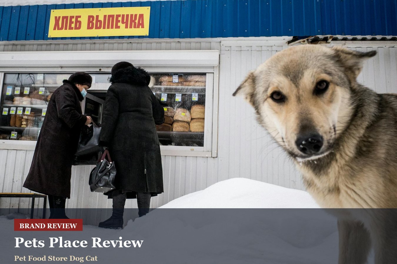 Pets Place Review: Pet Supplies, Repeat Orders And Delivery Weight