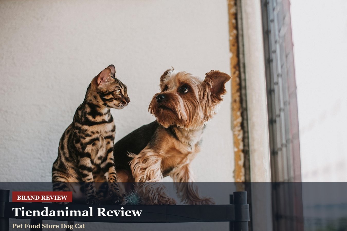 Tiendanimal Review: Pet Food, Repeat Baskets And Delivery Weight