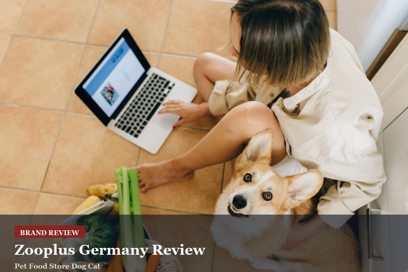 Zooplus Germany Review: Pet Supplies, Repeat Orders And Delivery Weight